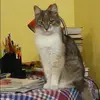 Отзыв от Галя Зверева